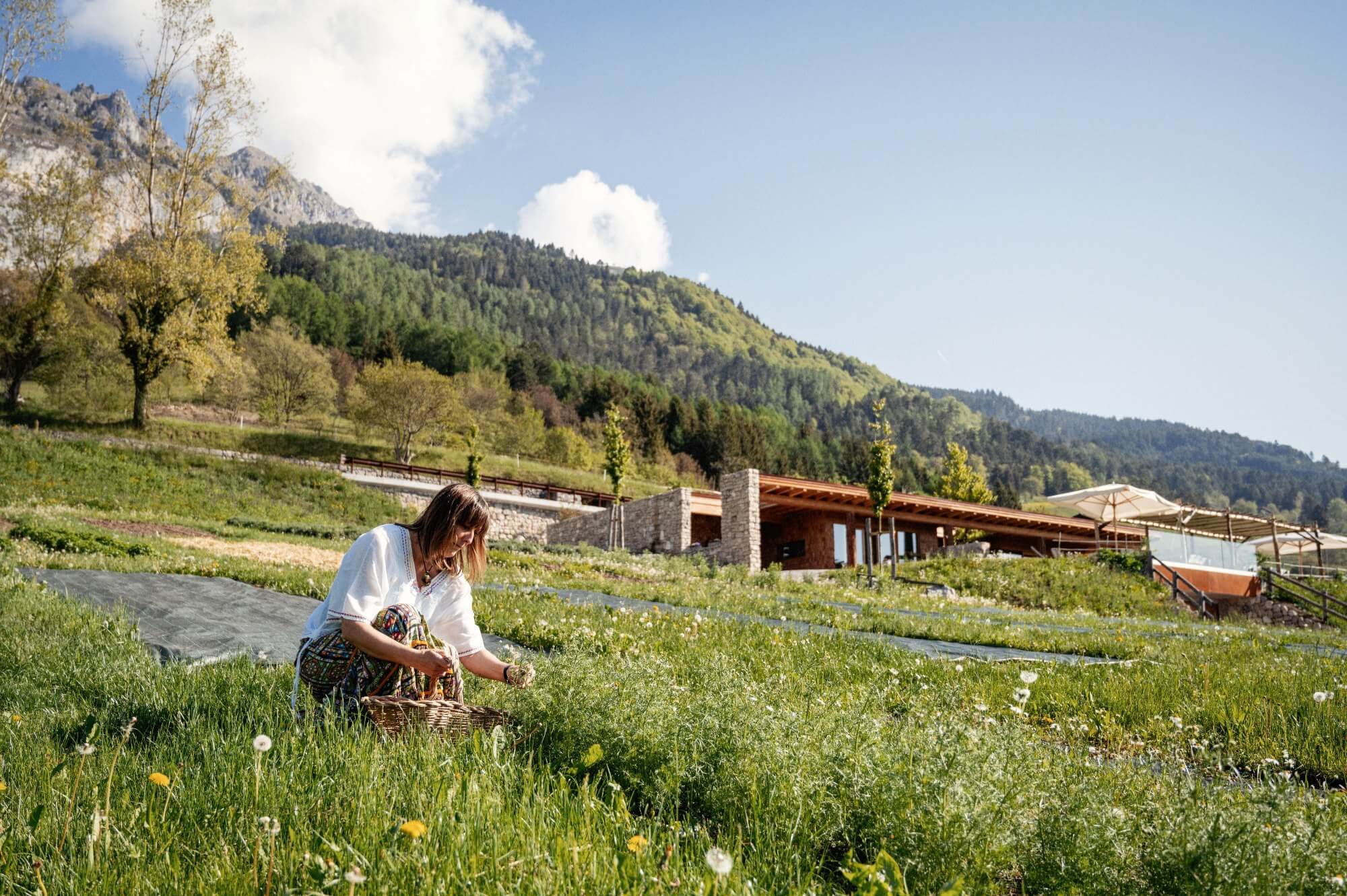 Crema effetto freddo all'arnica - Azienda Agricola & Agriturismo Il Ritorno